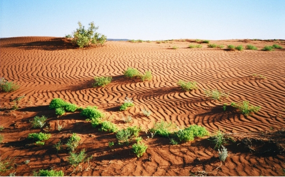 Ugye milyen szép a sivatag? Itt szoktam rá.