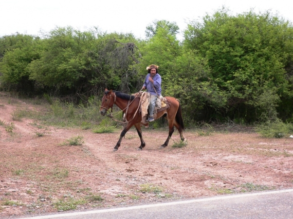 Leérkeztünk a nagy síkságra, a Chaco-ra, ahol nem fesztivál van, hanem egy argentin gaucho (cowboy) megy munkába. A lábát takaró nyers marhabőr a bozót tüskéitől védi őt. És a lovat mi védi?