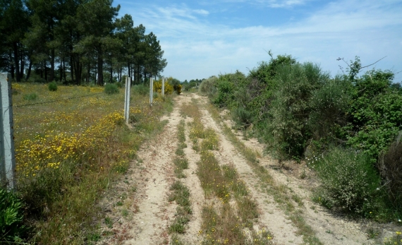 Ez a Lisszabon - Madrid útvonal a Garmin cég GPS kerékpáros navigációja szerint. 
A GPS az esetek túlnyomó részében nagyon hasznos, de ha nem vigyázol, akkor 100 méter rövidítés kedvéért átvisz árkon-bokron és  hegyen. 